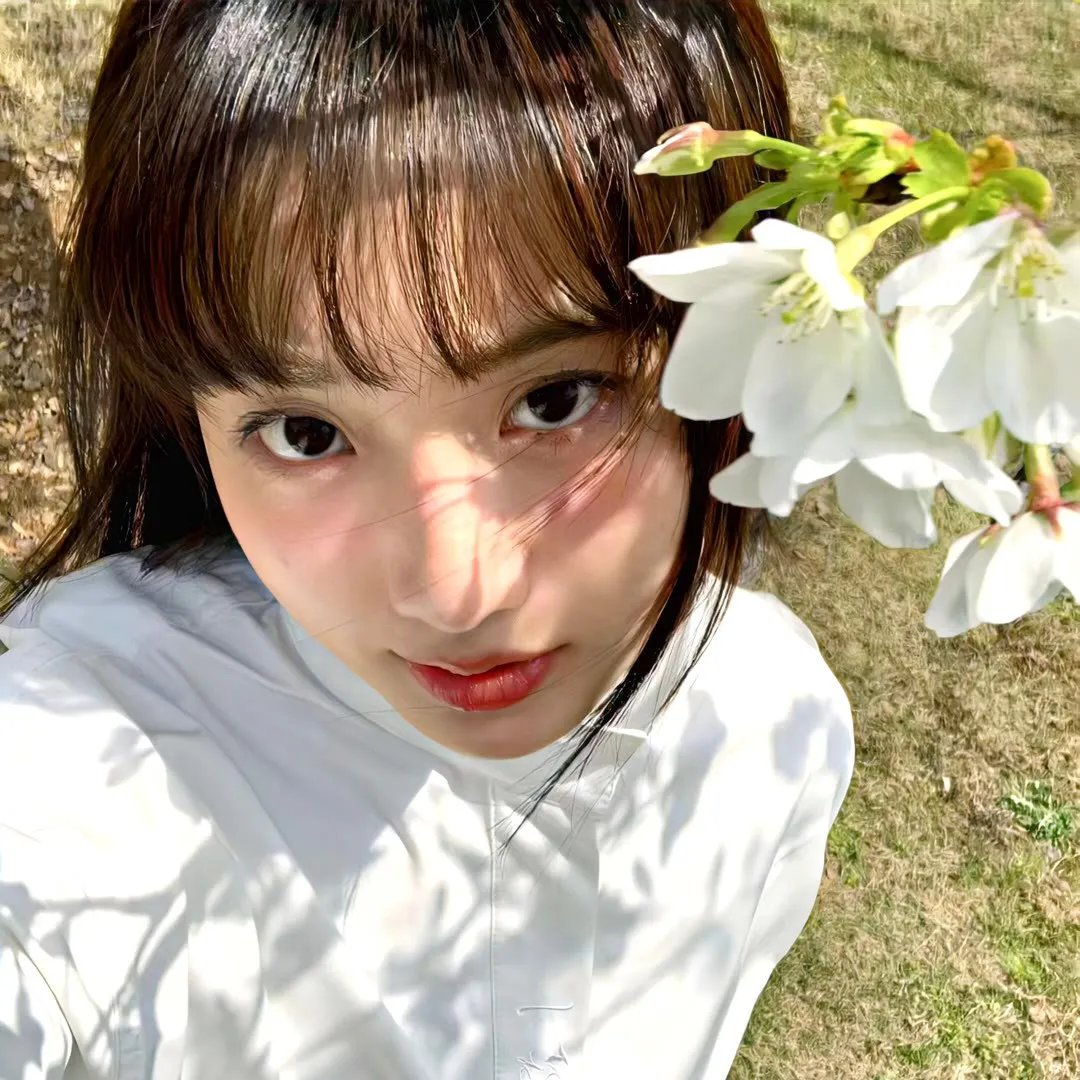 伍六七之暗影宿命